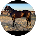 arnulfo duarte profile picture